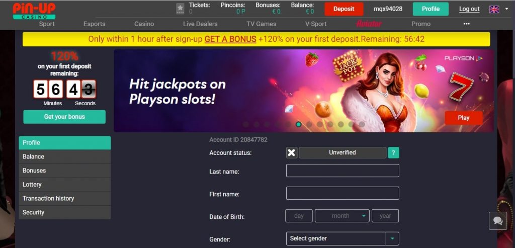 Pin Up Login Process.